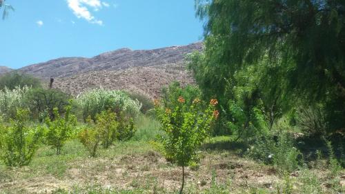 Lodge La Quinta De Mar�a, Tilcara