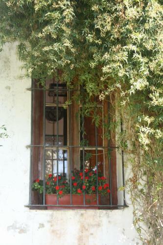 Los Lilios