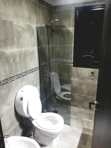 Carlos Pellegrini 350 Apartamento