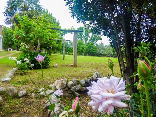 Agroturismo La Casa De Don Pepe