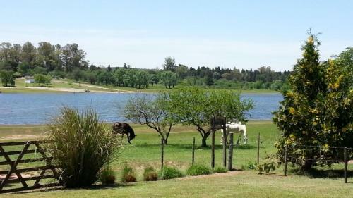 Caba�as Del Dique Frente Al Lago