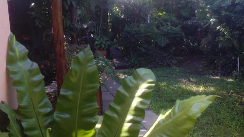 Apartamento Alojamientos Ali-a