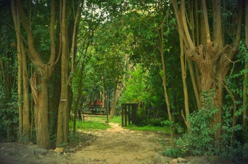 Casa En El Bosque