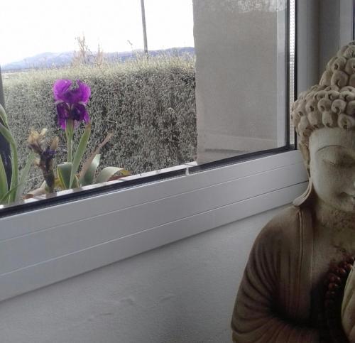 Aurora Homestay