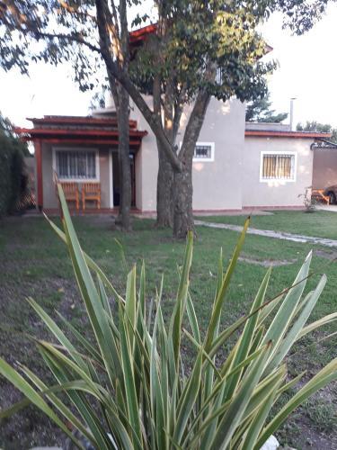 Caba�as Un Viejo Algarrobo