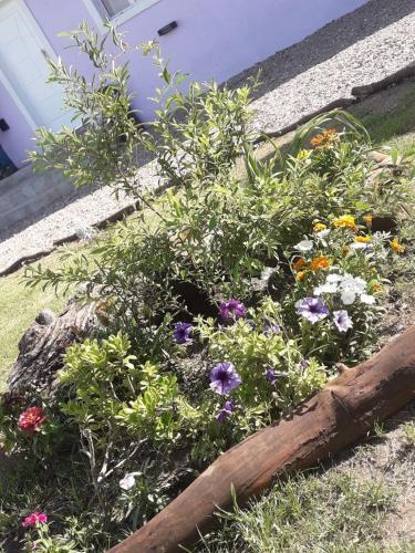Lodge El Remanso