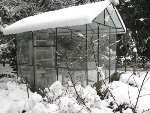 Bed & Breakfast Dodo House