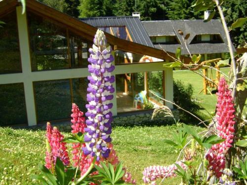 Lodge A�ahue