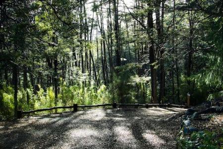 Newen Mawida, La Casa Del Bosque Vistalago