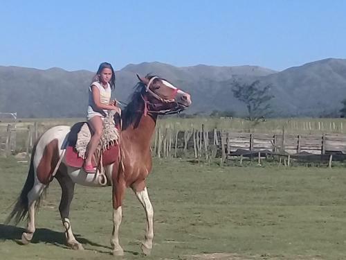 Complejo Corral De Pirca