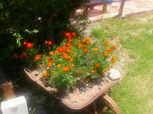 Caba�a La Calandria