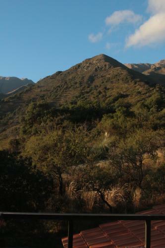 Alma Tierra