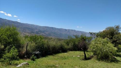 Caba�a De Troncos En La Monta�a