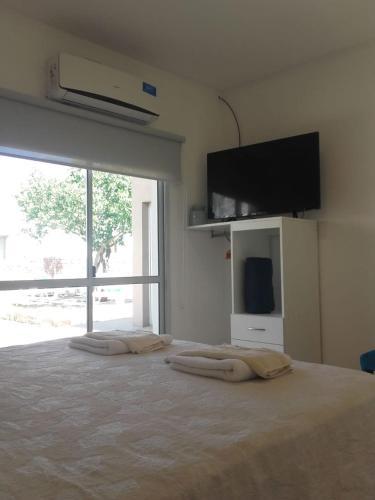 Bed & Breakfast Gure Loa Urbano