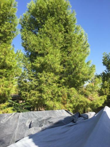 Agroturismo Rinc�n De Las 5 Perlas