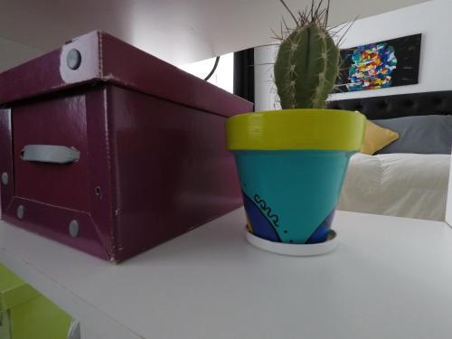 Apartamento Studio Q