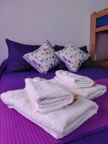El Nuevo Hostel De Beto