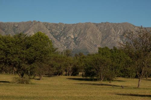Lodge Alto Del Monte