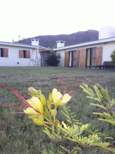 Lodge Castillo De Sol