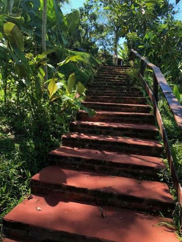 Lodge Arara Azul