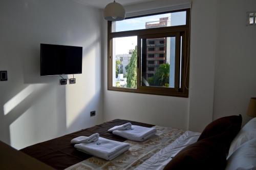 XV Apartamentos