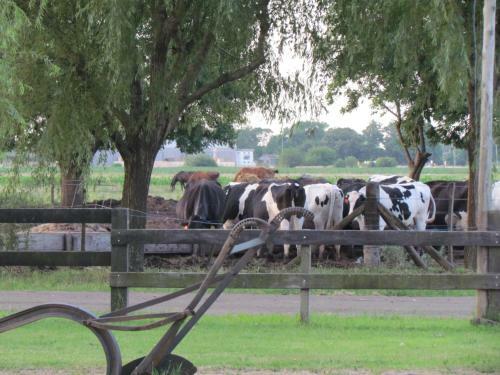 Agroturismo Casa Mansa... Puro Campo