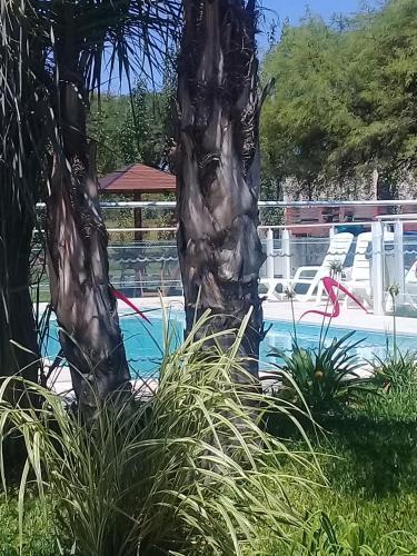 Apart Del Cerro