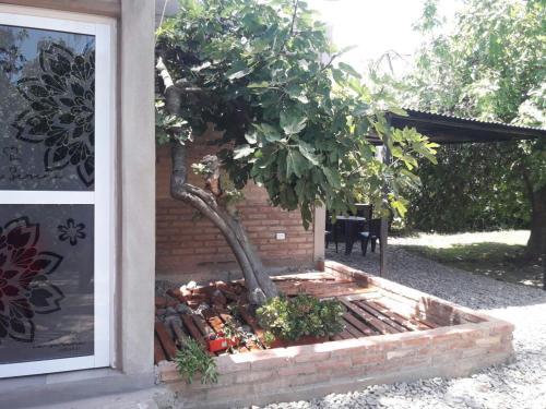 Apartamento La Serena Caba�as