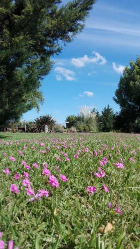 Lodge Caba�as Tierra Linda