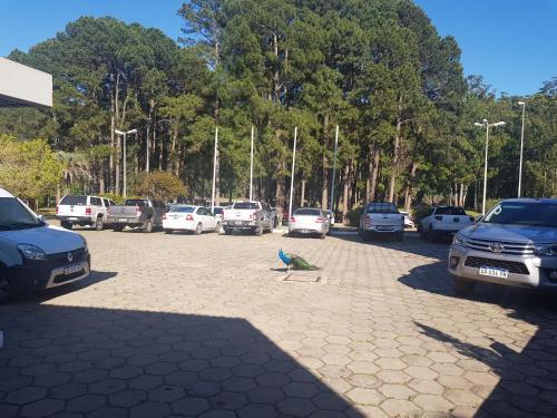 Hotel Ayu� Resort & Spa Termal