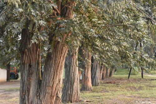 Agroturismo Las Lunas