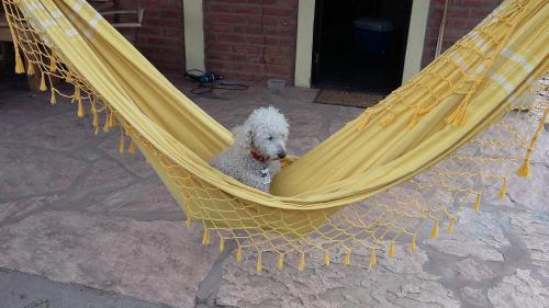 Caba�as El Nonno