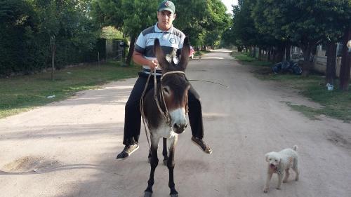 Caba�as El Nonno