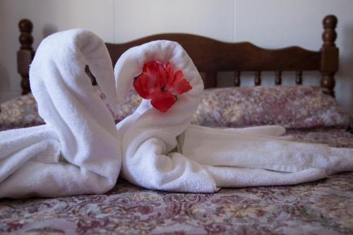 Apartamento B & B