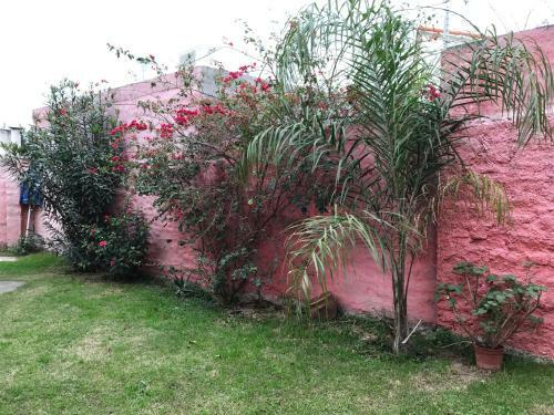 Apartamento Lf Departamentos