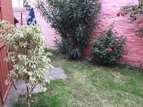 Apartamento Lf Departamentos