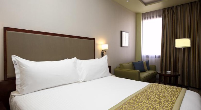 Hotel Holiday Inn Riyadh Al Qasr