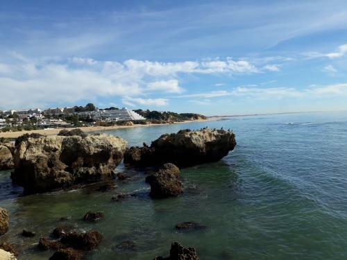 Apart.s�nia - P�teo Da Aldeia - Oura