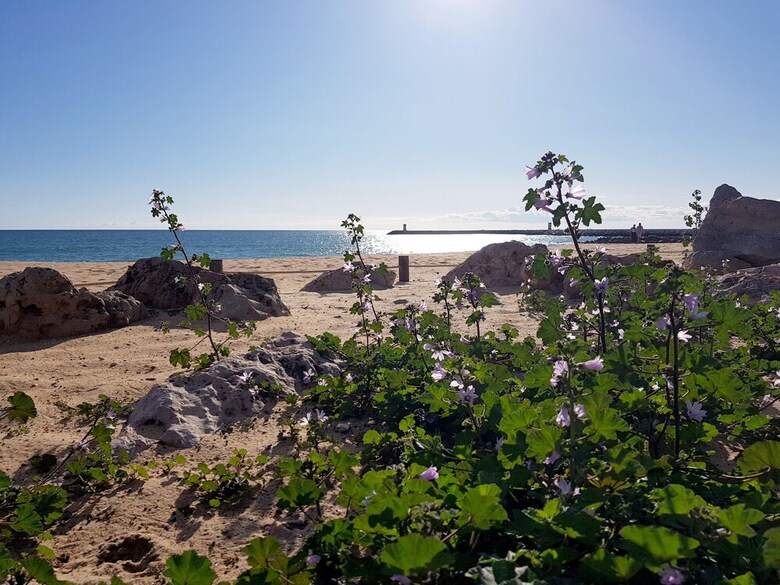 Apartamento Albufeira Sea View (52)