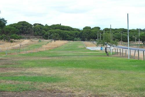 3 Villas - Praia Da Falesia