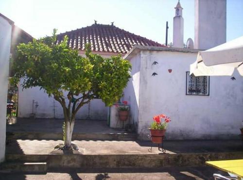 Holiday Home R. Da Rainha