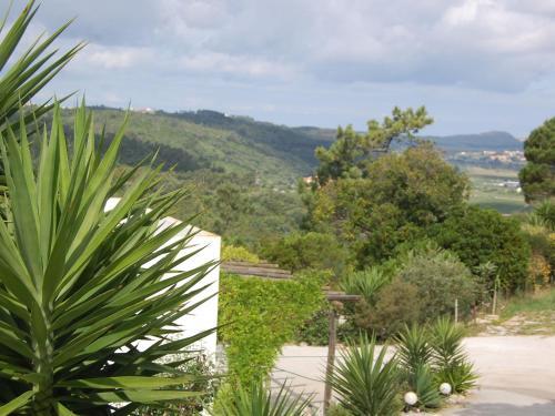Villa Alto Da Maceira