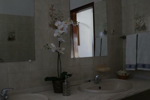 Apartamento Casa Belmira