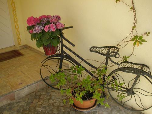 Sunny Garden Apartment