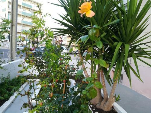 Apartment R. Padre �ngelo Firmino Da Silva