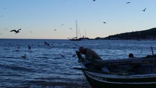 Holiday Home Rua Gon�alo Velho