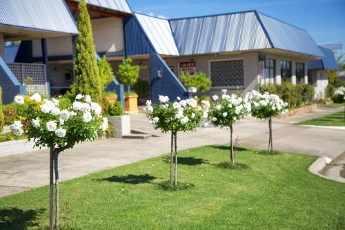 Hotel Amaroo Motel
