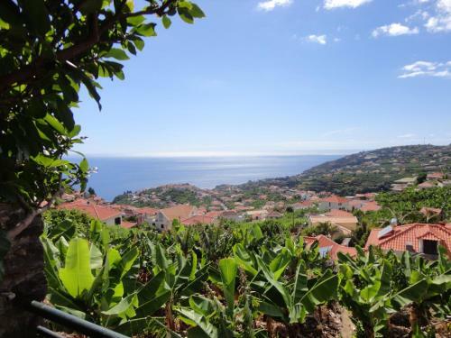 Holiday Home Caminho Da Carreira