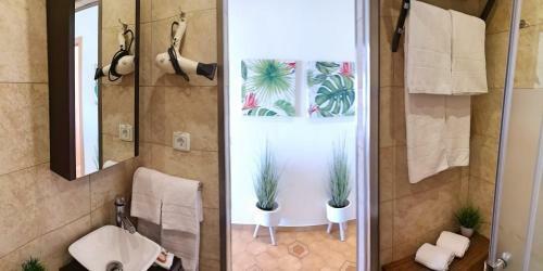 T3 Apartment Praia Da Rocha