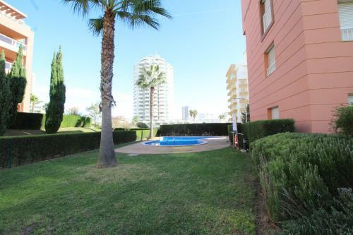 Apartamento T1 Praia Da Rocha / Litoral Mar